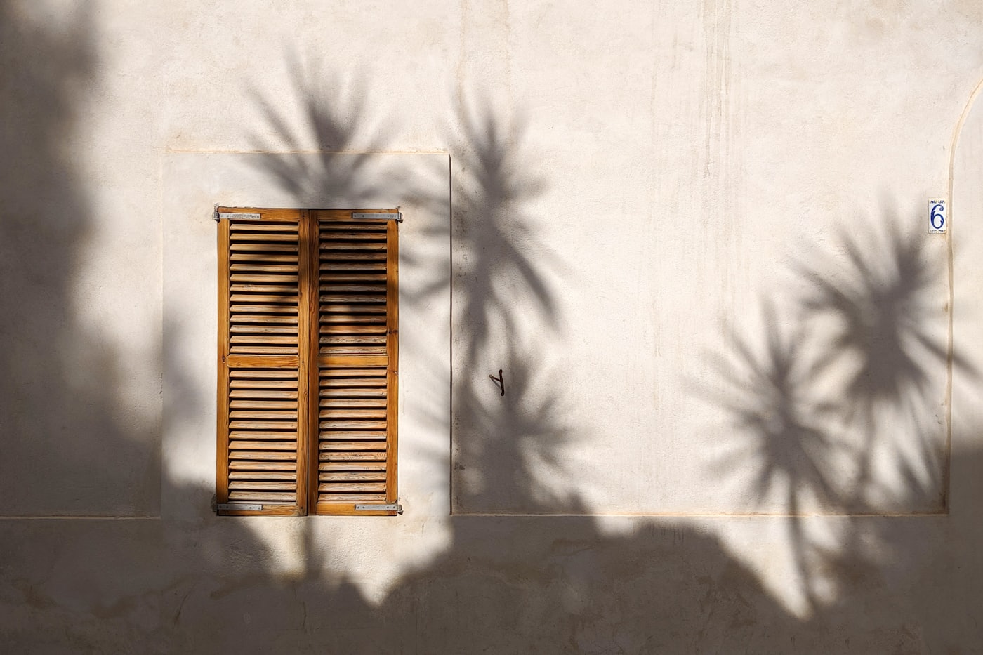 Palm shadows falling across a warm plastered wall beside a wooden shutter.